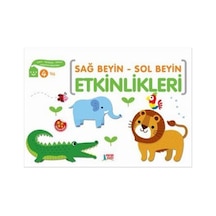 Sağ Beyin-Sol Beyin Etkinlikleri 4- Minik Ada