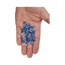 25 Gram Tamburlu Kyanit Minik Parçalar 112-2