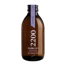 Kombucha 2200 Lavantalı Fermente Yeşil Çay 250 ML