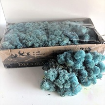 Reindeer moss AQUAMARİNE(TURKUAZ) şoklanmış norveç yosunu