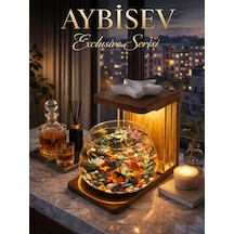 Işıklı Beta Akvaryum Exclusive Cam Fanus Işıklı, Modern Ve Lüks Masa Üstü Aksesuar