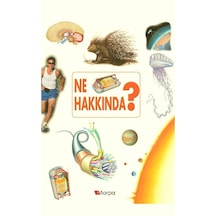 Morpa Okulöncesi - Ne Hakkında