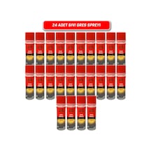 Grayzer Sıvı Gres Yağlama Spreyi 24 x 500 ML