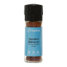 4 Adet Hayfene Yandım Acı Baharatlı Çeşni 50 G