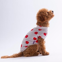 Apple Pop Elma Desenli Kedi Köpek Sweati - Kedi Köpek Kıyafeti-kedi Köpek Sweati