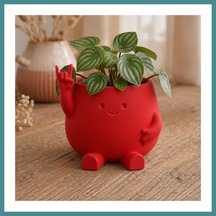 Trendexa 3d Baskı Smiley Face Planter - Gülümseyen Karakterli Saksı-kırmızı Mac Standart