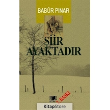 Şiir Ayaktadır - Babür Pınar - Nitelik Kitap