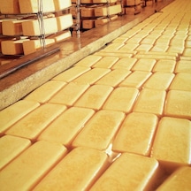 Doğumark Taze Kaşar Peyniri 1 KG