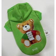 Neon Teddy Kapşonlu Kedi Köpek Sweat