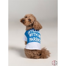 Salya Store 3D Rubber Baskı Yazlık Tshirt Köpek Kıyafeti
