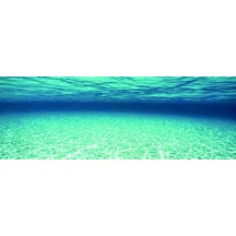 Kanki Pet Akvaryum Arka Fon Yapıştırma 185x65 Cm Kp1856528