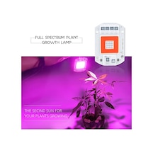 Tam Spektrum 50W 220V Yeni Nesil Bitki Büyütme Led Cob Çip