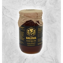 Balova Sandal Ağacı Balı 450 G