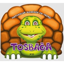 Hayvanlar Aleminin Yavaşı : Tosbağa - Ezjı-658809