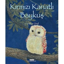 Kırmızı Kanatlı Baykuş Karton Kapak