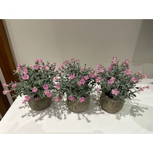 Saksıda Dekoratif Pembe Bahar Çiçeği - 20 Cm Yapay Çiçek 3 Saksı Pembe