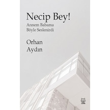 Necip Bey! - Orhan Aydın - Luna Yayınları