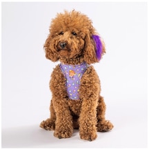 Pawstar Ice Cream Air-mesh Göğüs Tasması Kedi Köpek Göğüs Tasması Large