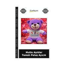 Mutlu Aşıklar Temalı Peluş Ayıcık Sevgiliye Sürpriz Oda Dekorasyonu Doğumgünü Sürprizi
