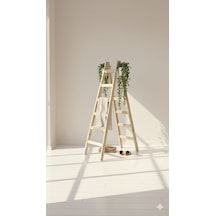 Standart Model