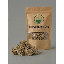 İxirciyusuf Meryem Ana Otu Meryem Ana Eli Diriliş Bitkisi Rose Of Jericho Selaginella Lepidophylla Doğal 50 G
