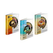Miray Tyt Türkçe + Felsefe + Coğrafya Soru Bankası Seti 3 Kitap 2