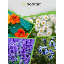Hobitar Gurme Çiçekler Çiçek Tohumu Paketi 4 Çeşit Çiçek Tohumu