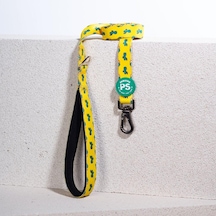 Pawstar L16 Cactus Sevk Kayışı Çok Renkli