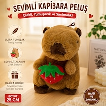 Peluş Oyuncak 25 Cm Sevimli Kapibara Ultra Yumuşak Sarılmalık Peluş Kapibara Çok Renkli