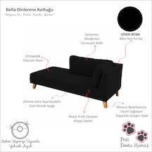 Bella Rahat Dinlenme Koltuğu Josefin Koltuk Psikolog Koltuğu Kitap Okuma Koltuğu Puf Koltuk Kanepe Sağ Siyah