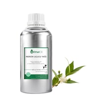 Etheloil Mersin Uçucu Yağı 500 G