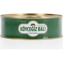 Köyceğiz Balı Süzme Çam Balı Teneke 850 G