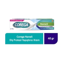 Diş Protezi Yapıştırıcı Krem 40 G 1 Adet