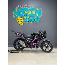 Tvs Raider Ön 3 Lü Koruma Takozu Pembe