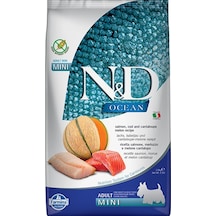 N&D Ocean Somon ve Morina Balıklı Kavunlu Mini Yetişkin Köpek Maması 2500 G