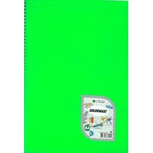 Çınar Colormaxi Spiralli Defter Pp Kap. Kareli 120 Yp A4 Yeşil