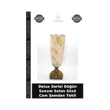 Çok Renkli
