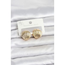 316l Çelik Gold Renk Deniz Kabuğu Model Kadın Küpe altın