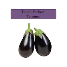 Patlıcan Tohumu 1 Paket Topan Patlıcan Tohumu Kapalı Paket Yüksek Verimli Tohum