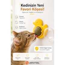 Ördek Tasarımlı Duvara Yapışan Kedi Nanesi Topu Döner Catnip Yalama Oyuncağı