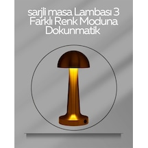 Diğer