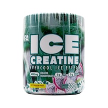 Fa Ice Creatine 300 G