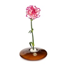 Flora Design-elegance Kahverengi Cam Vazo Kahverengi