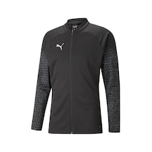 Puma Teamcup Training Jacket Erkek Futbol Antrenman Ceketi 65798303 Siyah 001