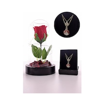 Fanusta Led Işıklı Kırmızı Gül Ve Uğur Böceği Kolye Seti Mika Fan (548382068)