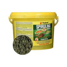 Super Spirulina Forte Tablet 50 Gr