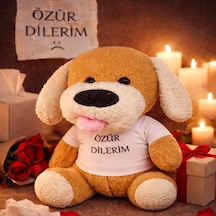 Özür Dilerim Tişörtlü Peluş Oyuncak Köpek Tdrtr Çok Renkli