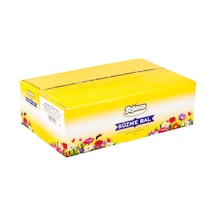 Seğmen Bal 100 20g Çiçek Balı Tek Kullanımlık Ambalaj 2'li Ekonomik Paket - 2 Adet Tarı