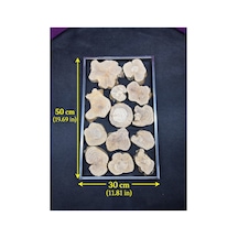 Zeytin Ağacı Parçalı Metal Çerçeve 30x50 Cm Epoksi Reçine İçin Doğal Ahşap Dilim Seti