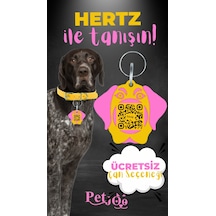 Petjoo 26.Hertz Pembe-Sarı Qr'lı Köpek Künyesi